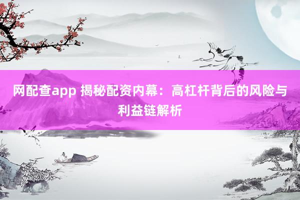 网配查app 揭秘配资内幕：高杠杆背后的风险与利益链解析