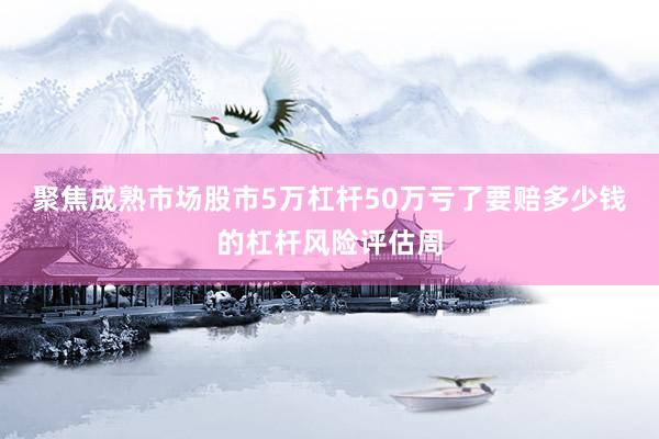 聚焦成熟市场股市5万杠杆50万亏了要赔多少钱的杠杆风险评估周