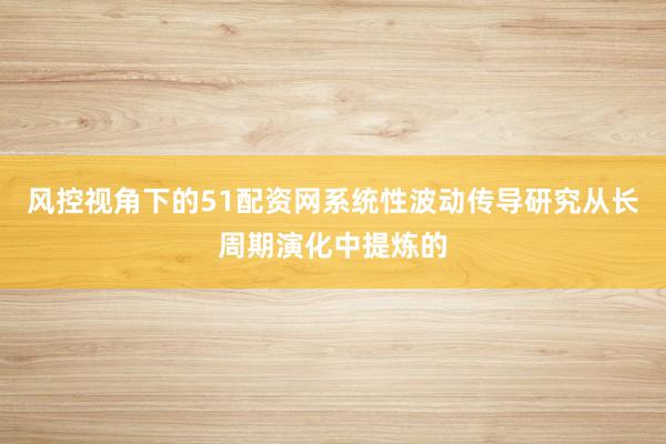 风控视角下的51配资网系统性波动传导研究从长周期演化中提炼的