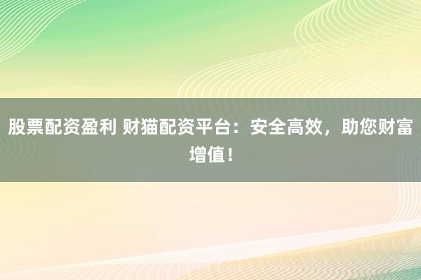 股票配资盈利 财猫配资平台：安全高效，助您财富增值！